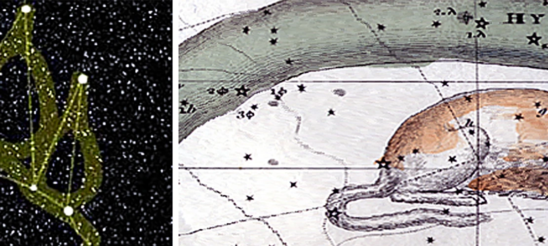 astrocats-felis-constellation-obsolete